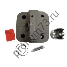 1005-9550 Поршневая группа Китай 43 см3, d-40 (Champion)