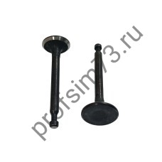6001-0610 Клапаны для двигателя м/бл 160F, впускной + выпускной 