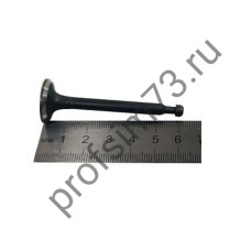 6001-0610 Клапаны для двигателя м/бл 160F, впускной + выпускной 