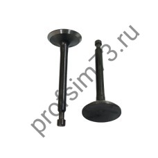 6001-0620 Клапаны для двигателя 168F, впускной + выпускной