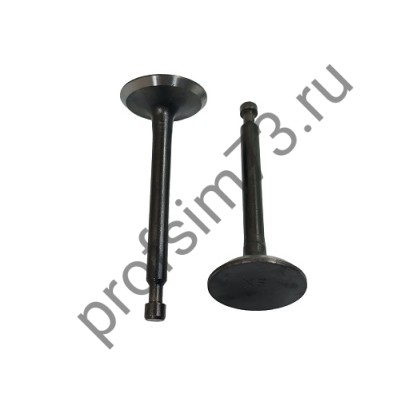 6001-0620 Клапаны для двигателя 168F, впускной + выпускной