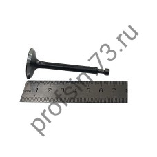 6001-0620 Клапаны для двигателя 168F, впускной + выпускной