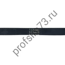 5000-3320 Ремень AVX 13*665