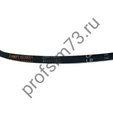 5000-7901 Ремень О-1000 (HIMPT)